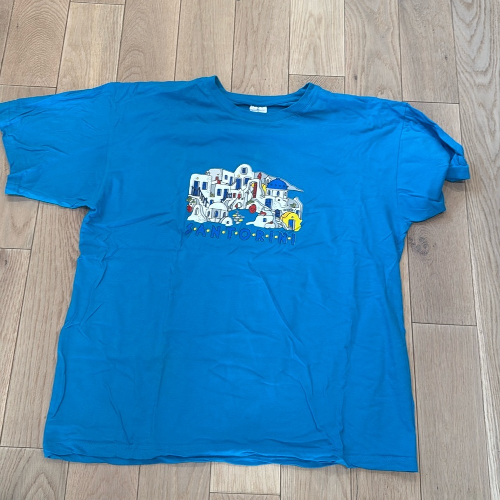 Mens Blue Graphic T-Shirt from